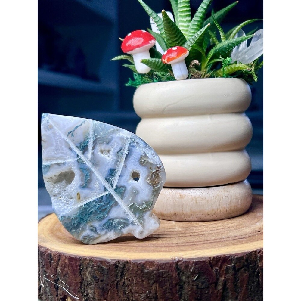 Baby Monstra Crystal